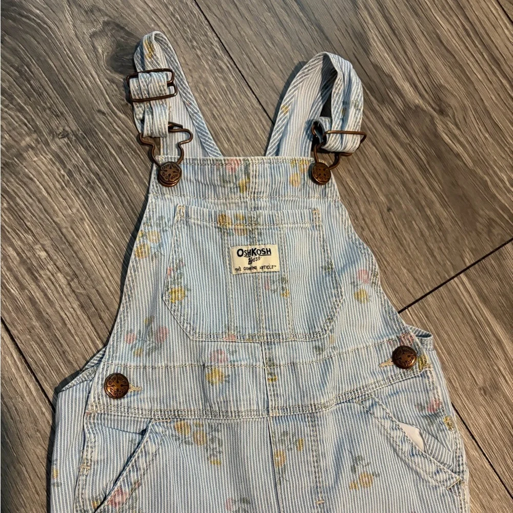 OshKosh B'gosh Light Blue Striped Overalls with Pastel Floral Print